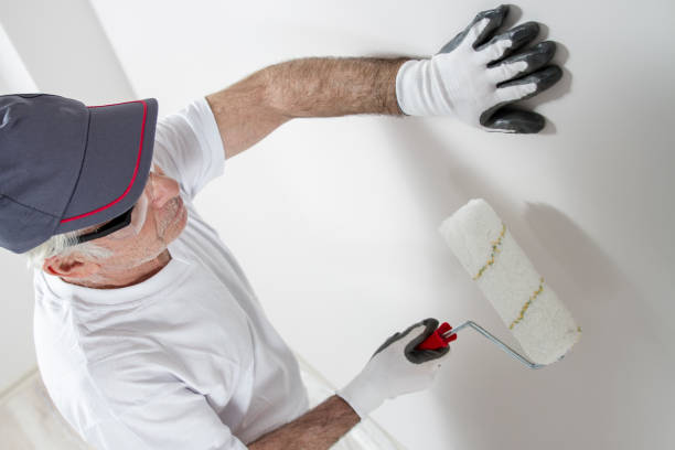 Westhampton Beach, NY Mold Removal Company
