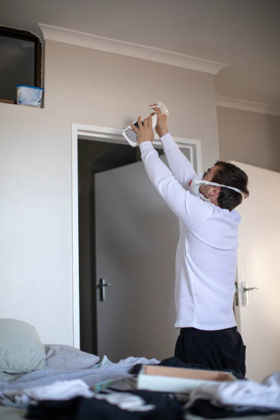 Best Residential Mold Inspection & Testing  in Westhampton Beach, NY
