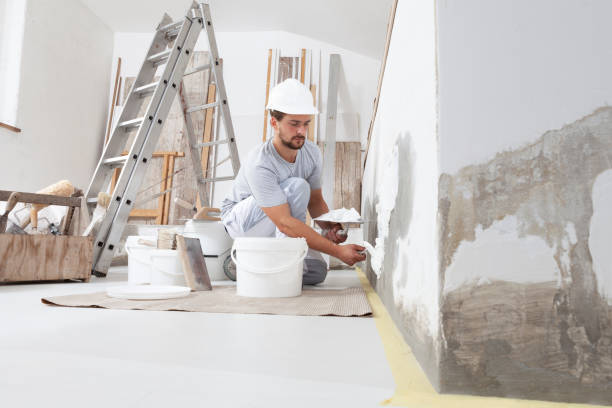 Best Mold Documentation for Insurance Claims  in Westhampton Beach, NY