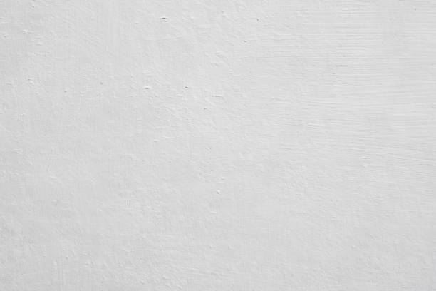 Best Basement Mold Removal  in Westhampton Beach, NY