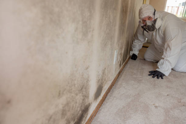 Asbestos and Lead Testing During Mold Inspection in Westhampton Beach, NY