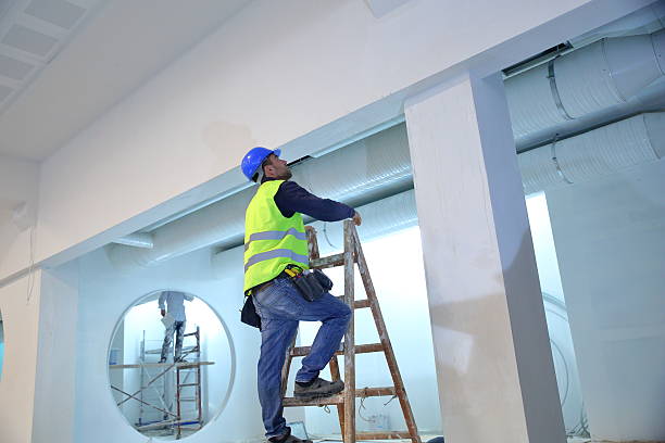 Best Airborne Mold Testing  in Westhampton Beach, NY