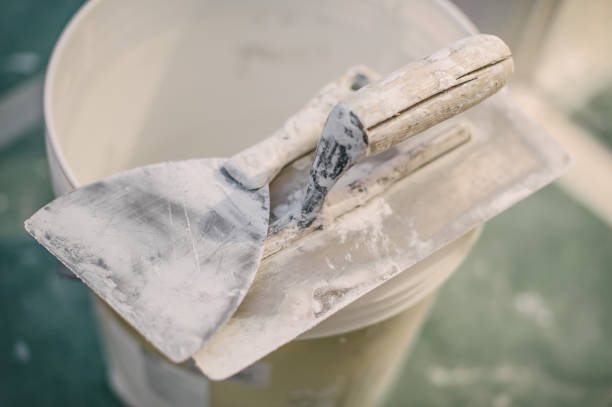 Best Mold Damage Restoration  in Westhampton Beach, NY